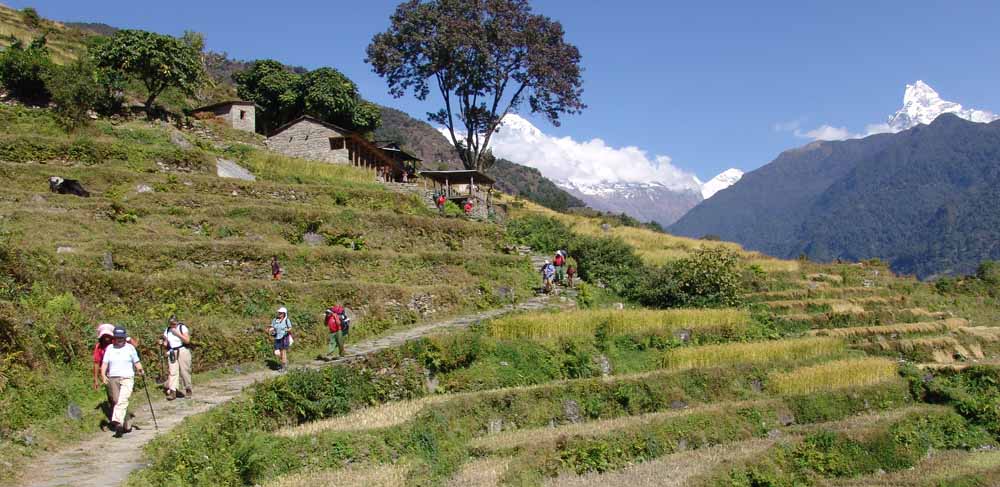 Ghorepani Poon Hill, Ghandruk Trek, trekkers coming down from Ghandruk to Kemche Village